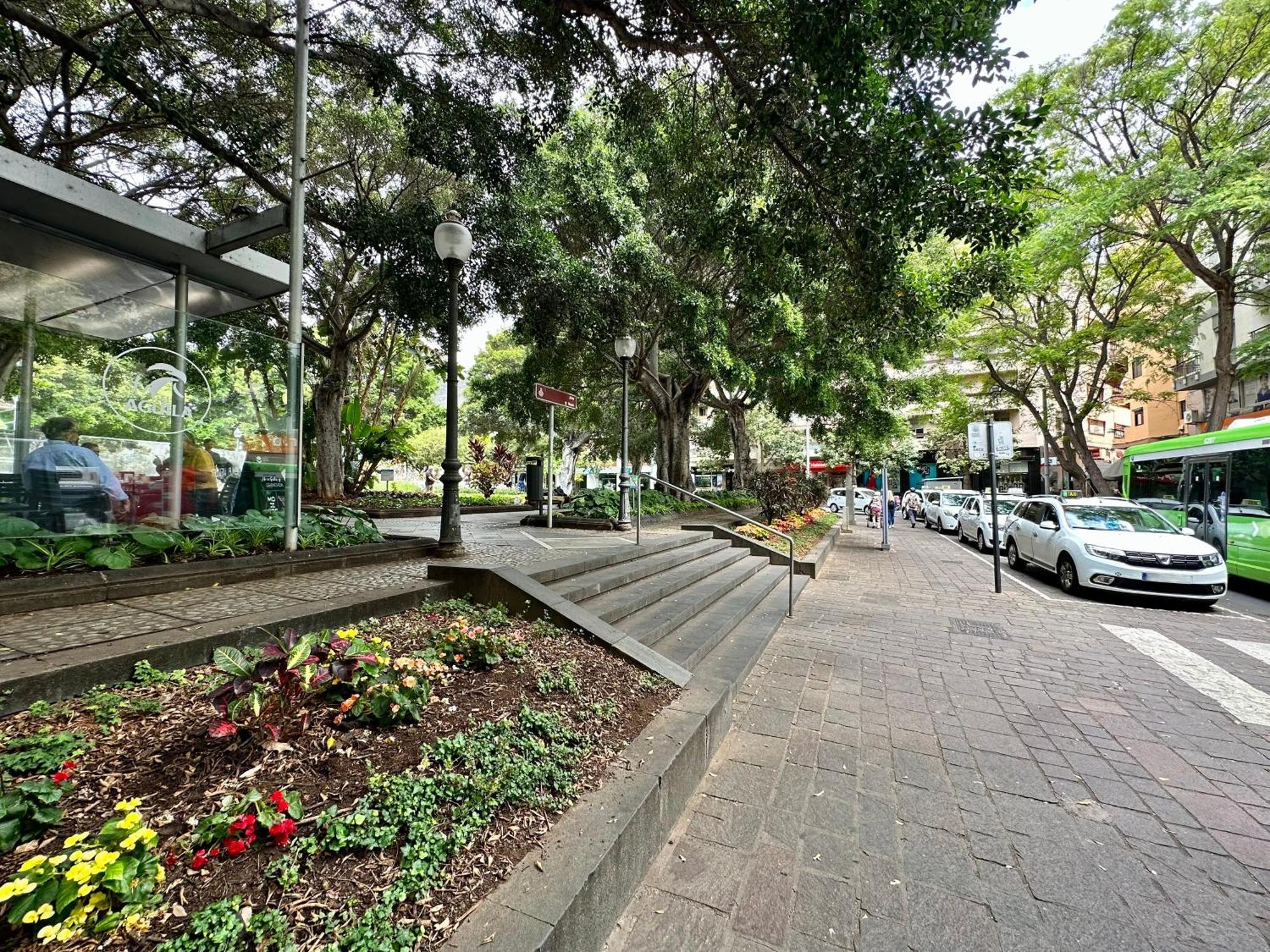 Sabino Street Apartment Santa Cruz de Tenerife Eksteriør bilde